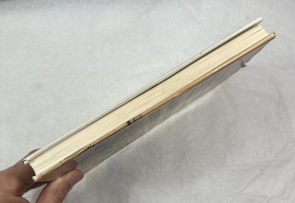 Dan Geer - Pro Rated Longshots - 1975 1st Ed. - Horse Race Betting - Vintage - Image 5