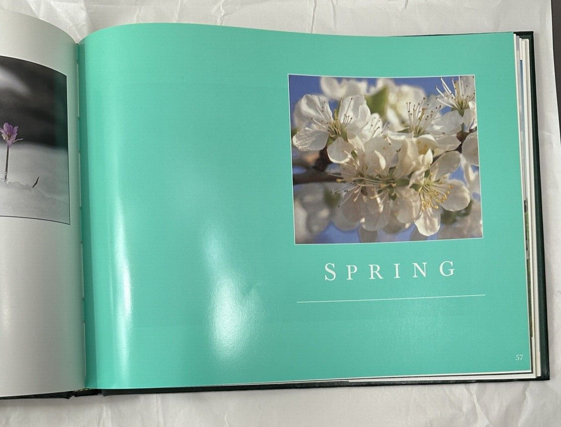 The Way International: Where God's Word Prevails - By American Christian Press - Image 6