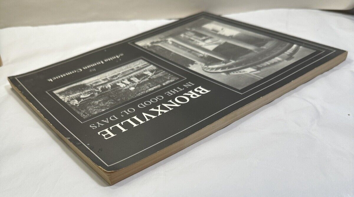 Bronxville In the Good ol' Days - Anita Inman Comstock, 1984 - Image 5