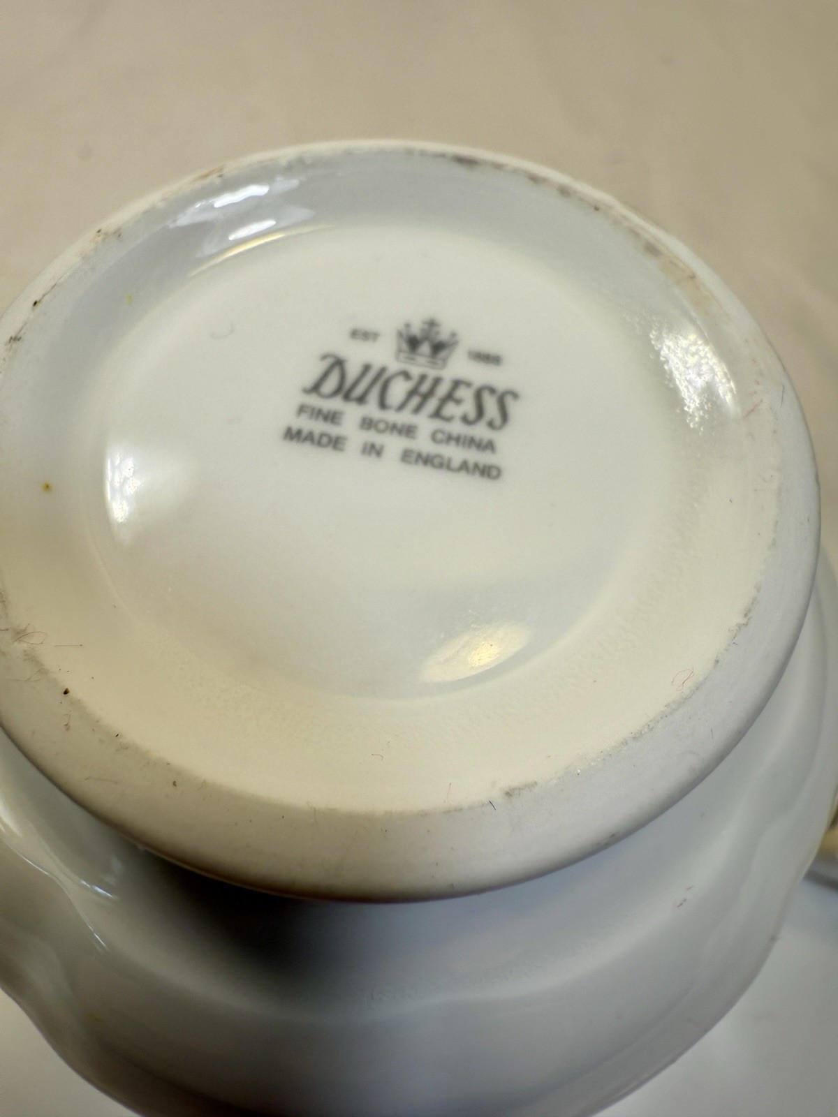 Duchess Bone China Pear / Fruit / Berry Tea Cup and Saucer - Mint, Immaculate - Image 8