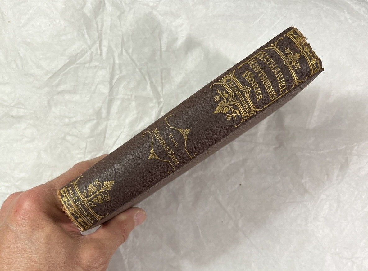 Nathaniel Hawthorne's Works Illustrated: The Marble Faun (Two Volumes in One) - Image 11