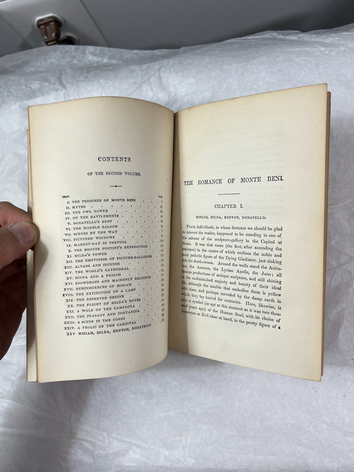 Nathaniel Hawthorne's Works Illustrated: The Marble Faun (Two Volumes in One) - Image 6