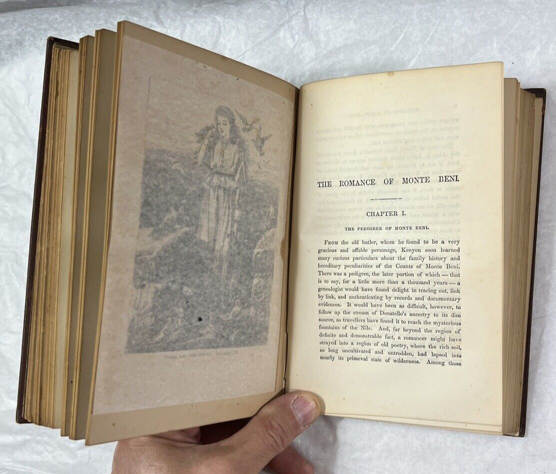 Nathaniel Hawthorne's Works Illustrated: The Marble Faun (Two Volumes in One) - Image 7
