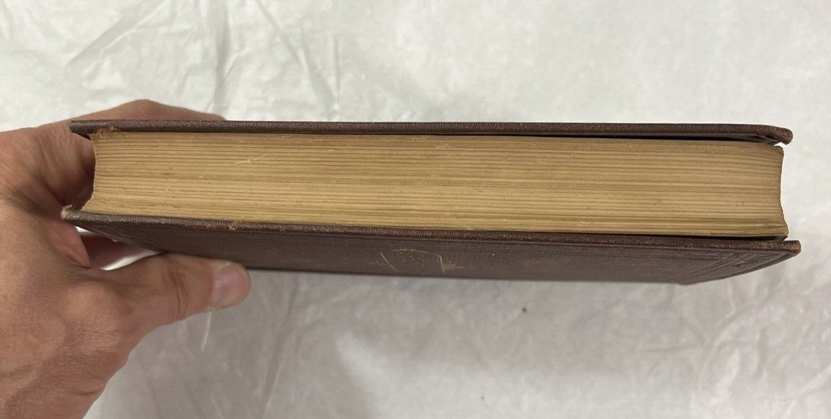 Nathaniel Hawthorne's Works Illustrated: The Marble Faun (Two Volumes in One) - Image 9