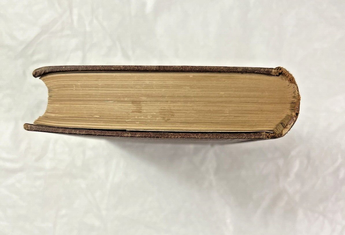 Nathaniel Hawthorne's Works Illustrated: The Marble Faun (Two Volumes in One) - Image 10