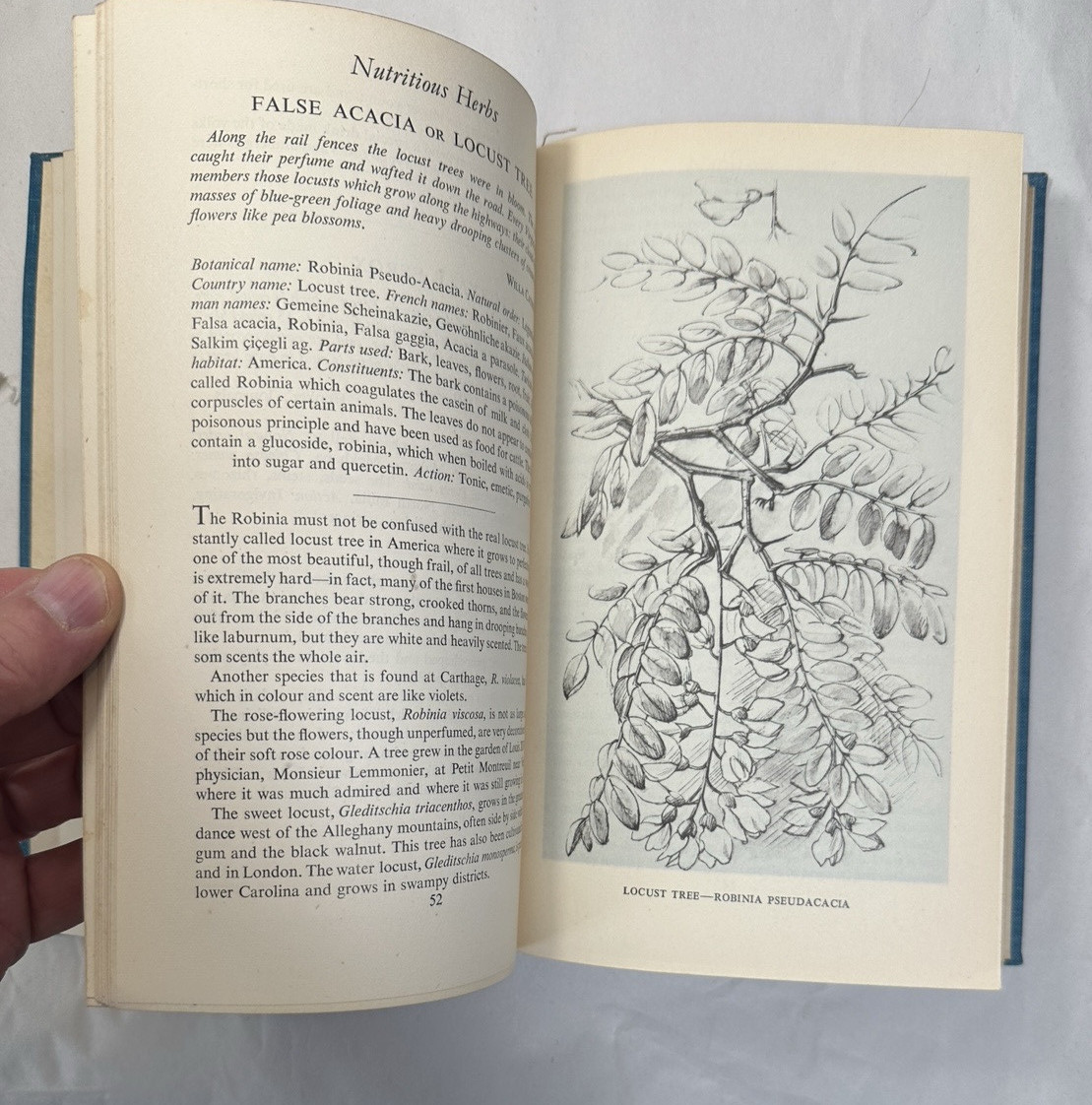 Elixirs of Life -- C. F. Leyel -- 1948 First Edition HC - Image 5