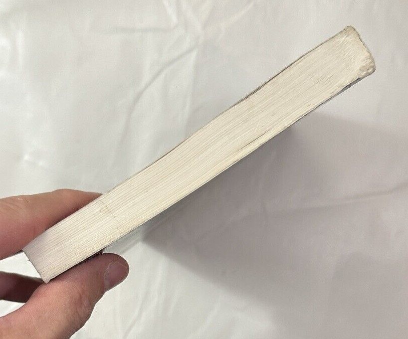 Hitler's Ashes: Seeds of a new Reich - Howard Buechner - Signed by the Author - Image 7