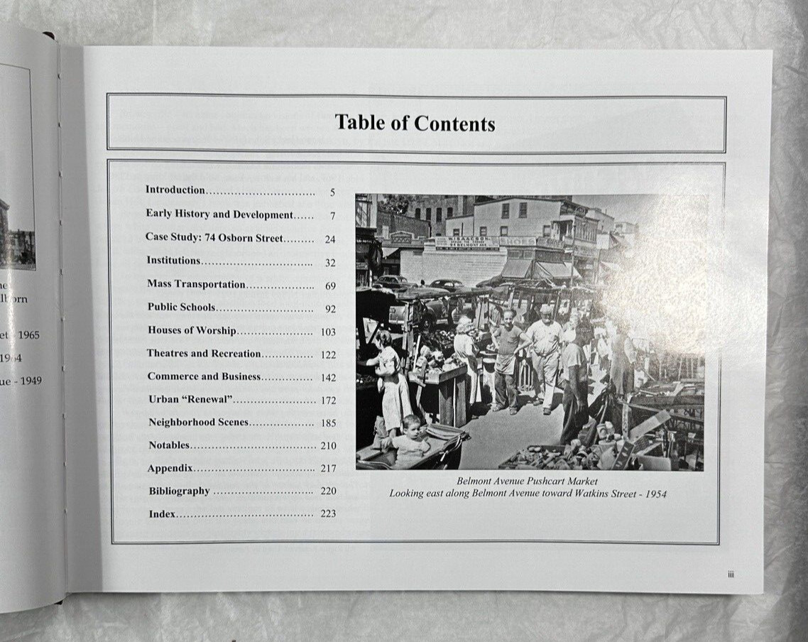 Brooklyn's Historic Brownsville Through the Years - Brian Merlis, Riccardo Gomes - Image 3