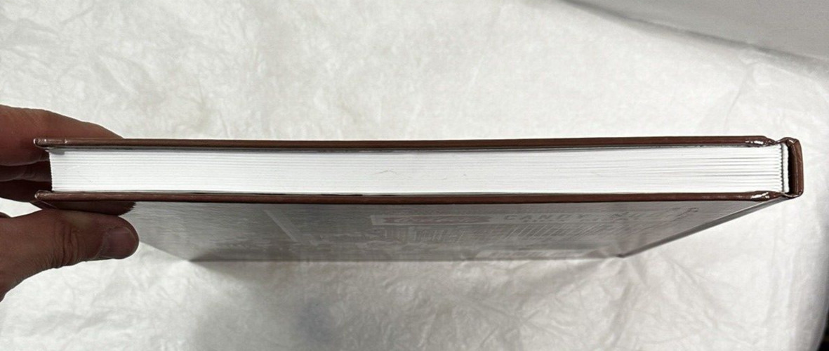 Brooklyn's Historic Brownsville Through the Years - Brian Merlis, Riccardo Gomes - Image 9