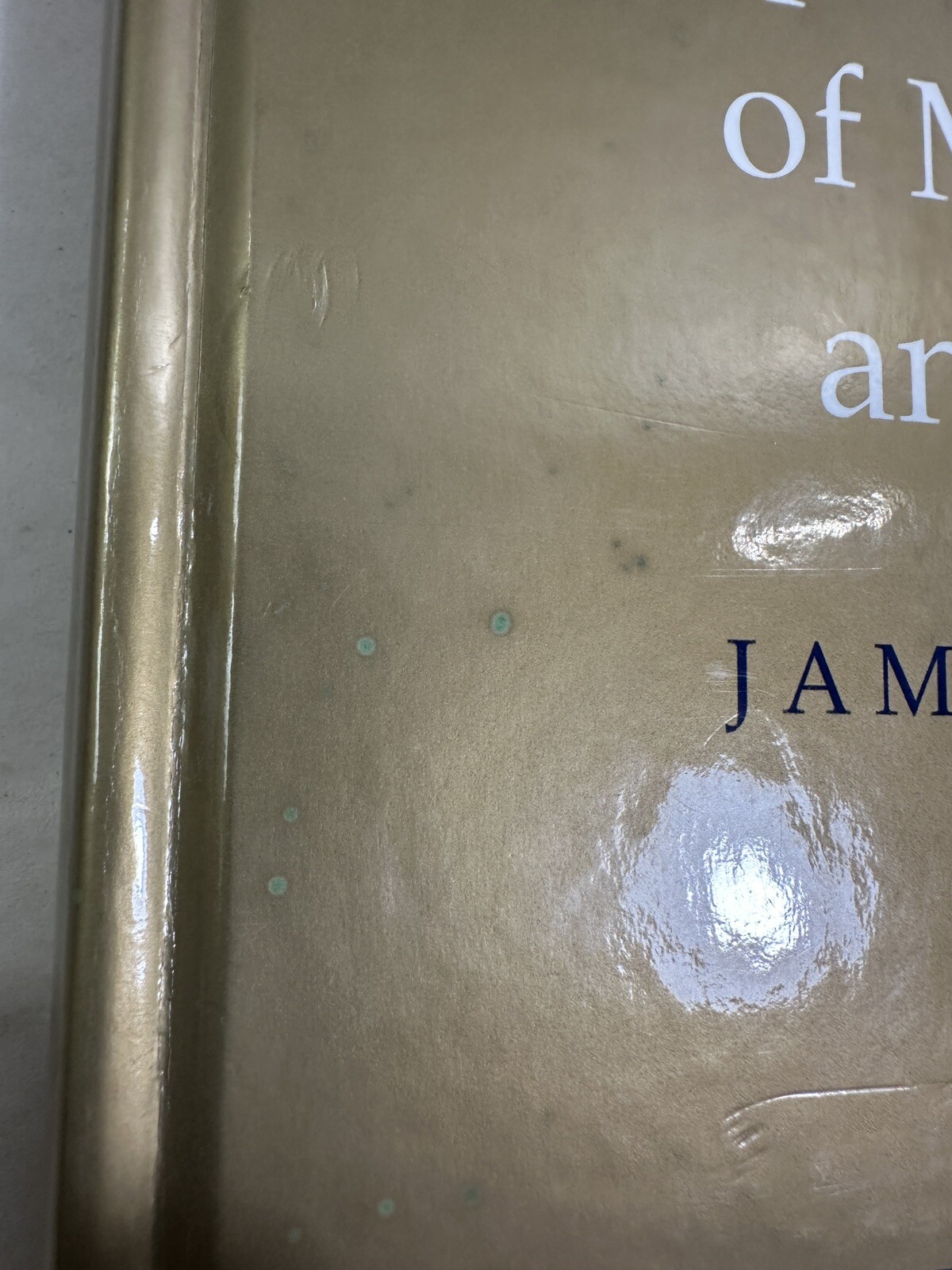 A Sceptical Theory of Morality and Law - James Allan - HC - Image 3