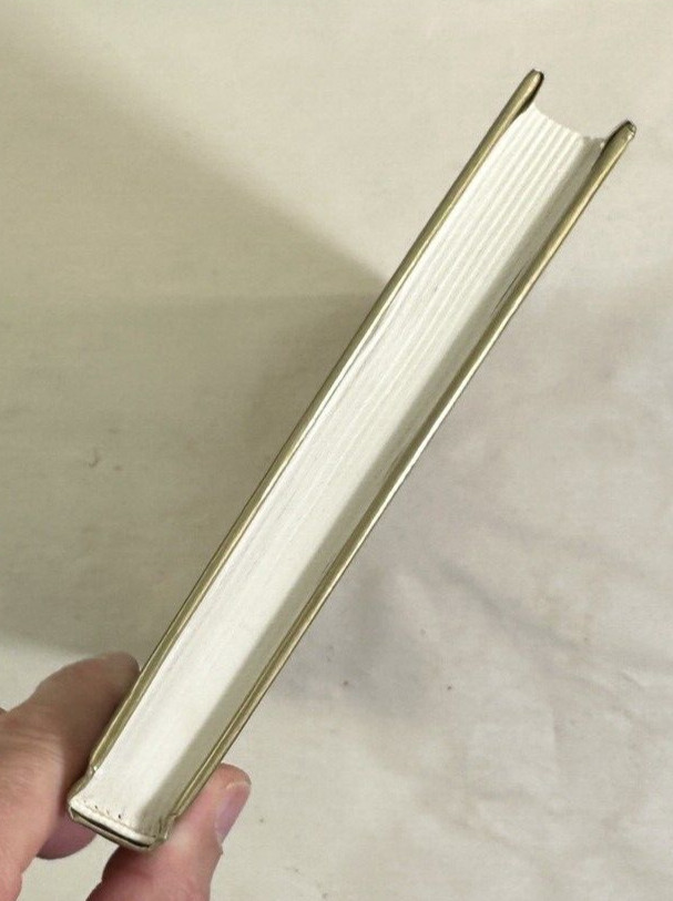 A Sceptical Theory of Morality and Law - James Allan - HC - Image 4