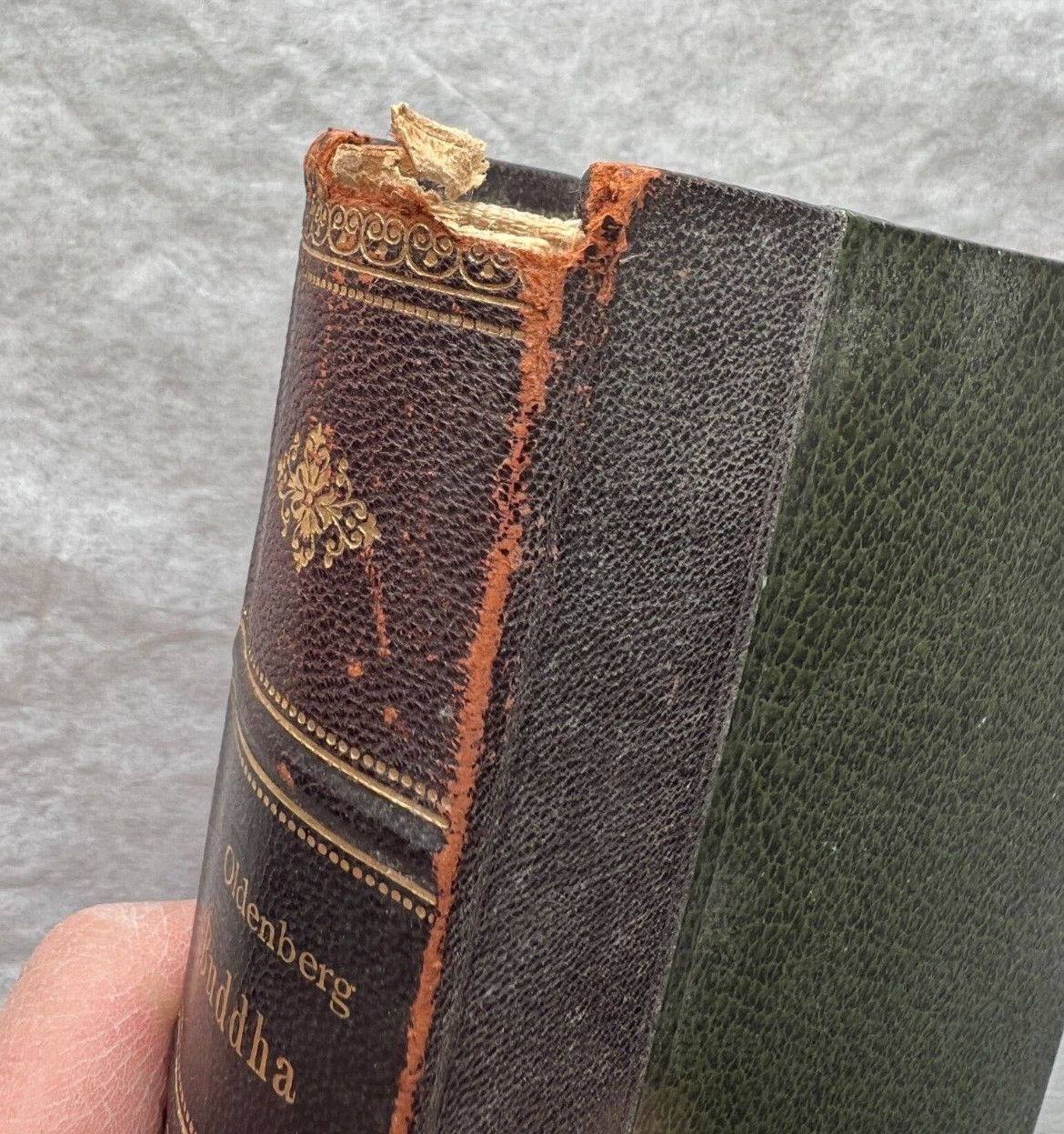 Buddha - Sein Leben, seine Lehre, seine Gemeinde - Herman Oldenburg - 1903 - Image 11