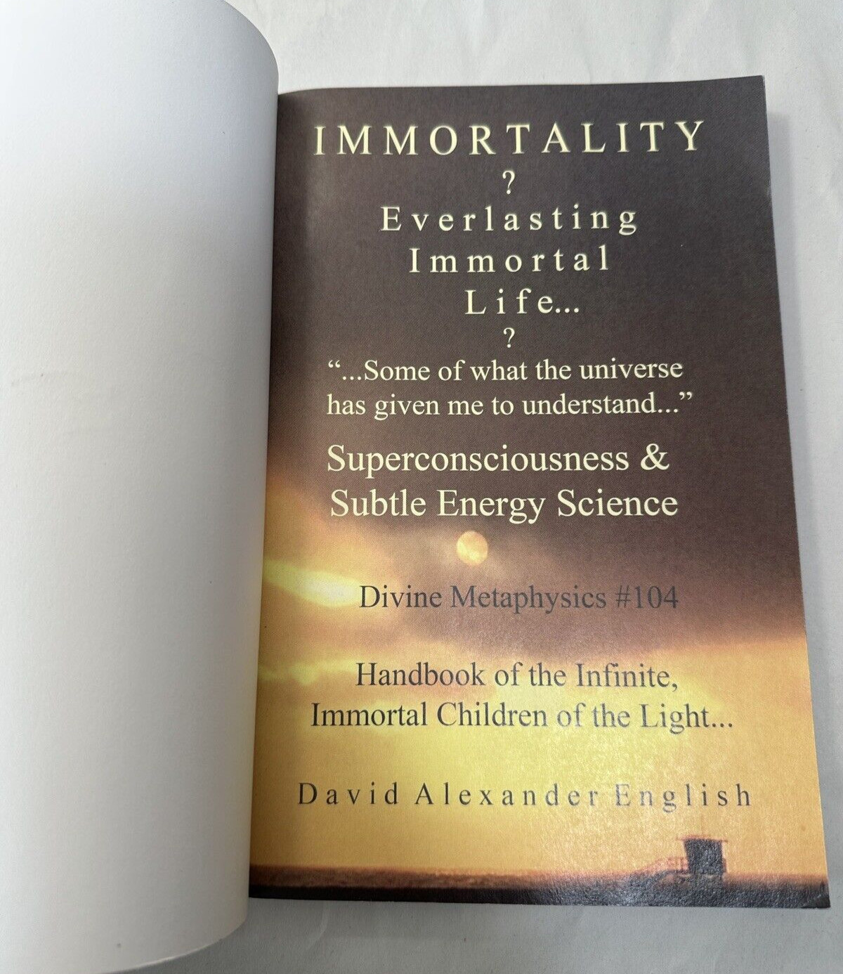 Immortality...? - Everlasting Immortal Life...?  - David English, 2017 - Image 1