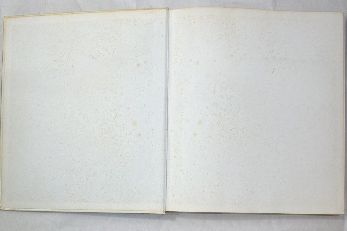 Journal de l'impressionisme [éd française] Maria & Godfrey Blunden - SKIRA 1973 - Image 1