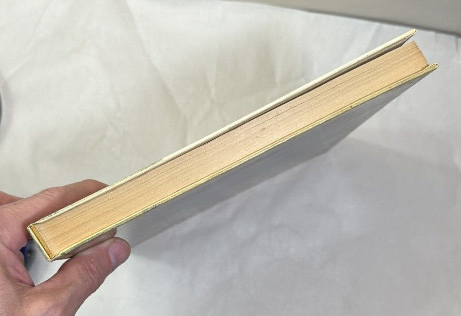 Journal de l'impressionisme [éd française] Maria & Godfrey Blunden - SKIRA 1973 - Image 7