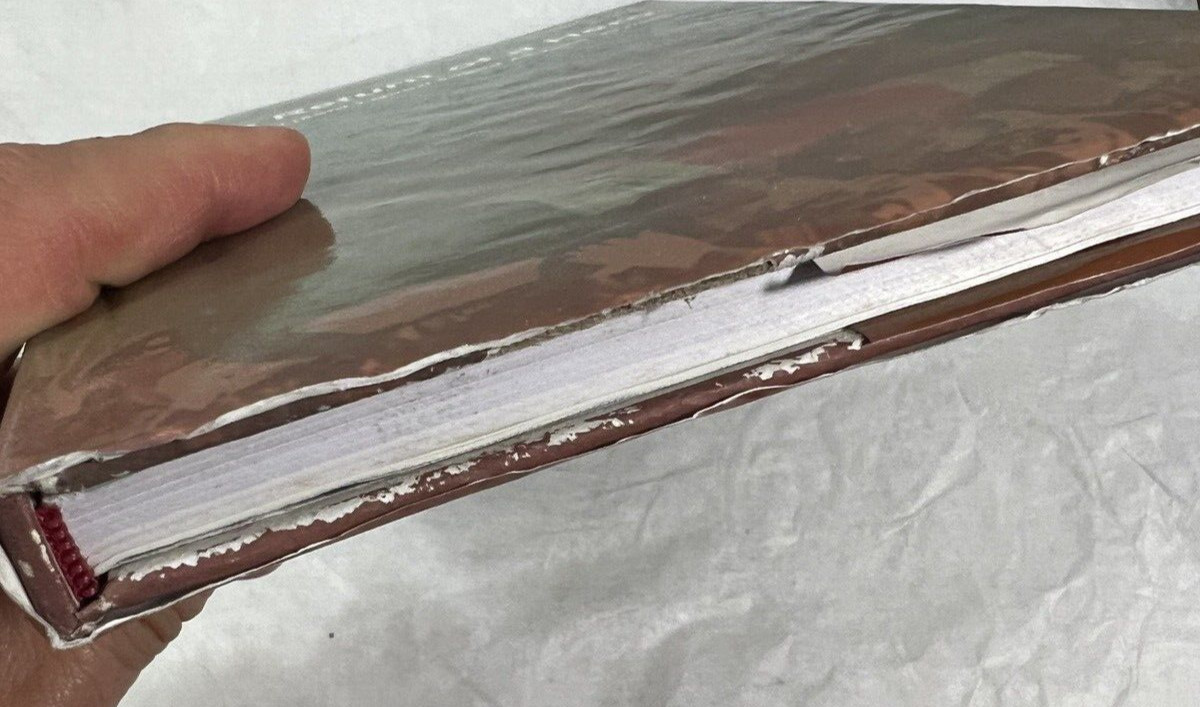 The Return of a Hero: Lt Colonel Quazi Sajjad Ali Zahir, Bir Protik - Image 3