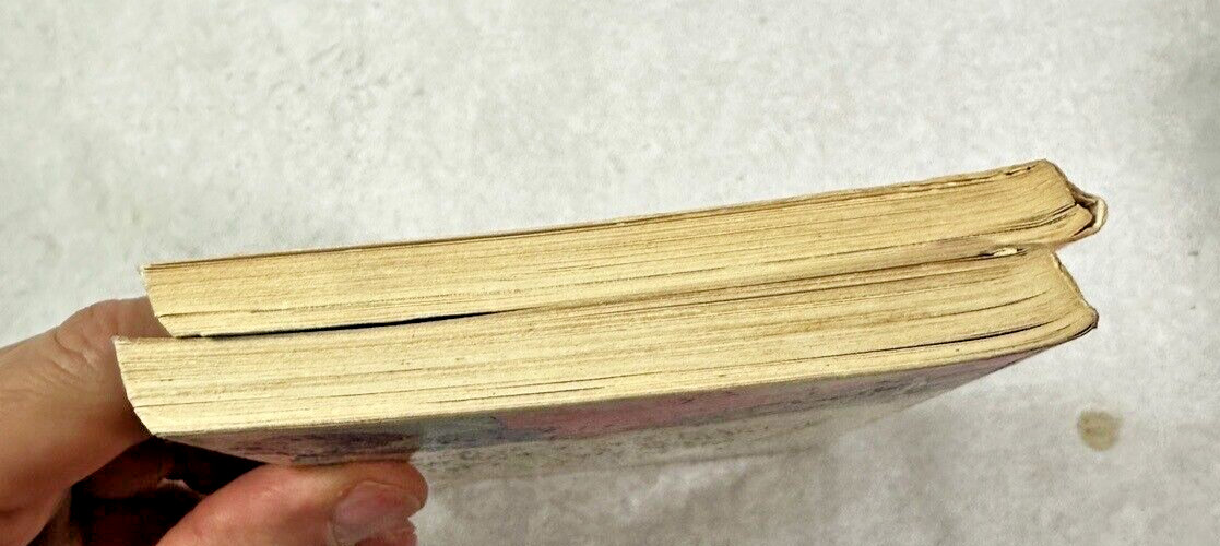 Ivan: The Hidden Bible / The Secret In The Suitcase - Myrna Grant - 1st Editions - Image 11