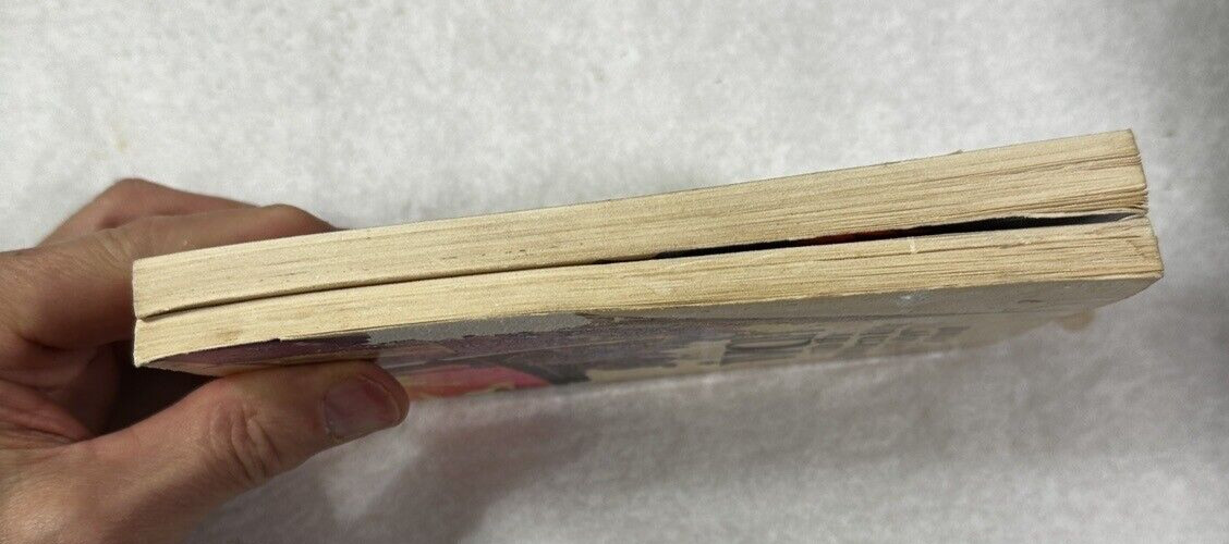 Ivan: The Hidden Bible / The Secret In The Suitcase - Myrna Grant - 1st Editions - Image 12