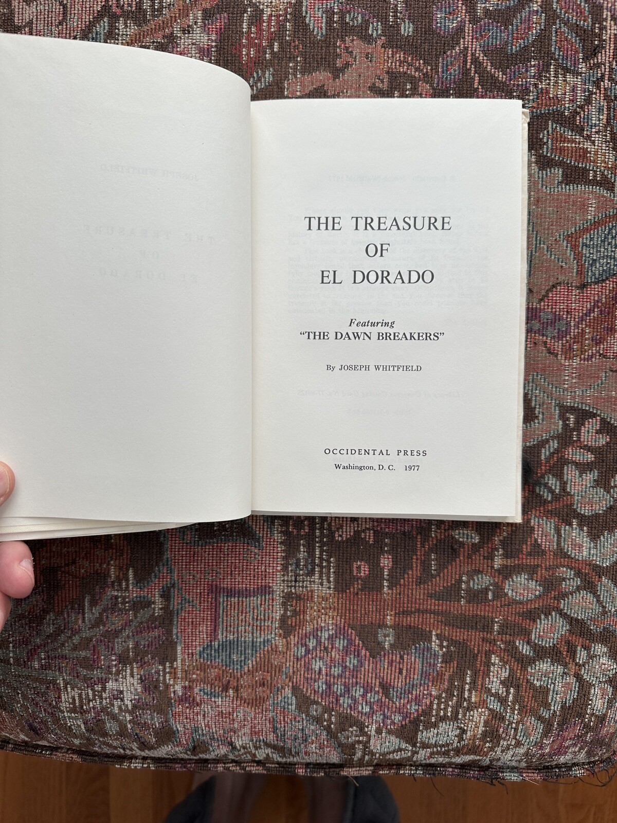 The Treasure of El Dorado by Joseph Whitfield  - Image 8