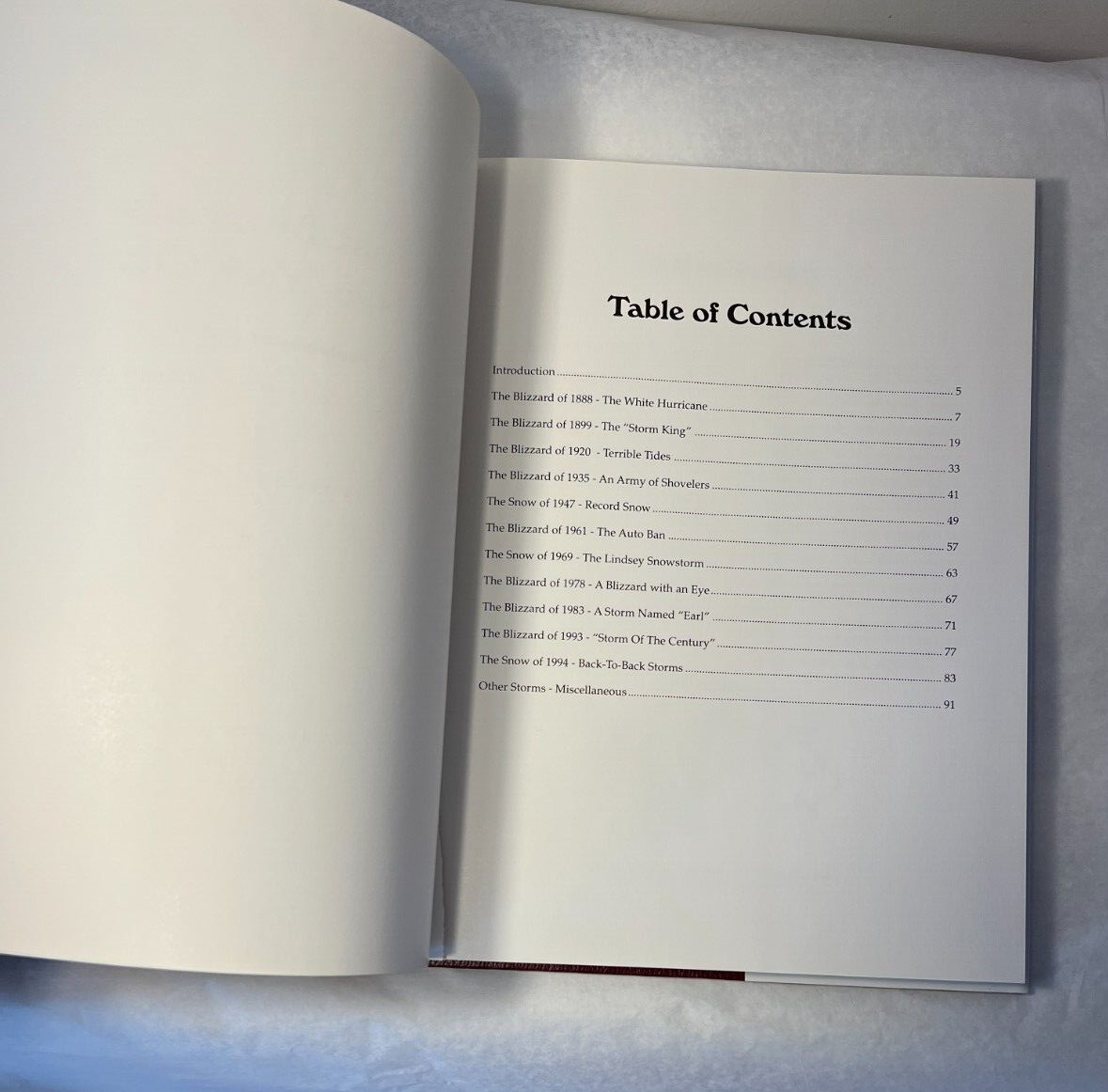 GREAT BLIZZARDS OF NEW YORK CITY By Kevin Ambrose - Hardcover - Image 1