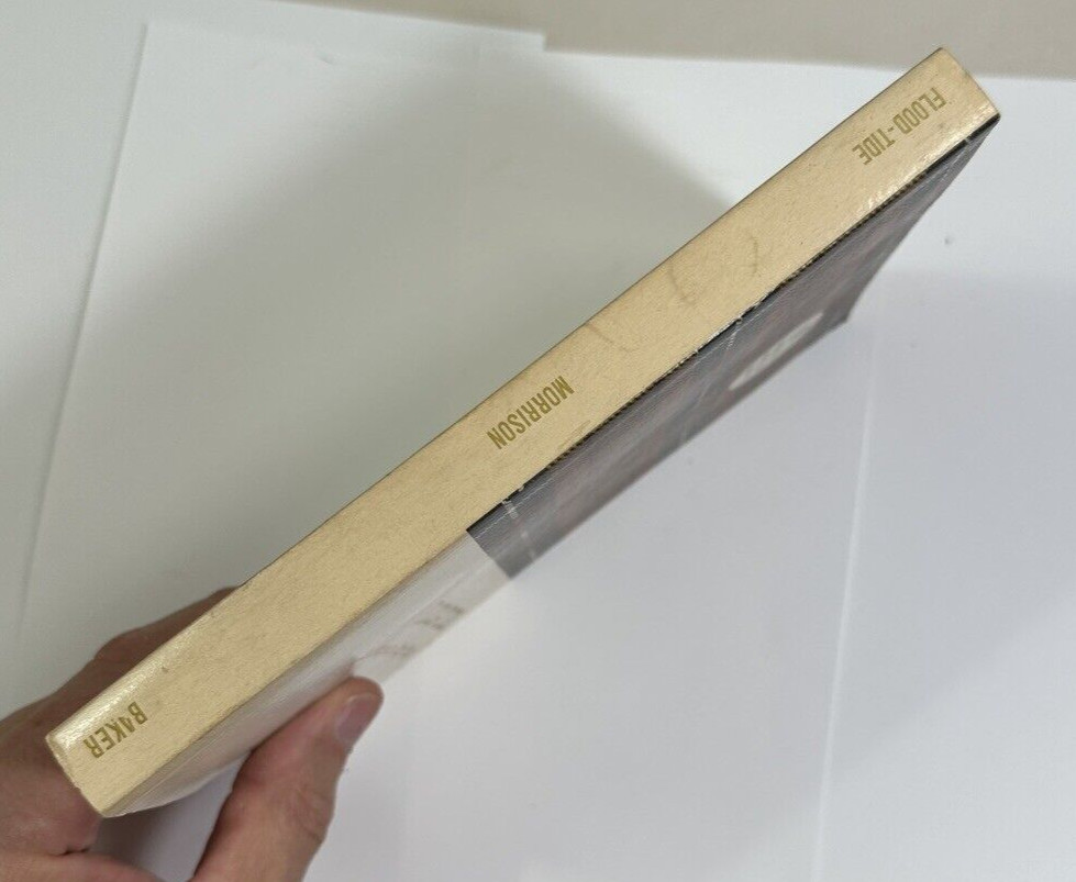 Flood-Tide: Sunday Evenings in a City Pulpit - George H Morrison - Paperback - Image 4