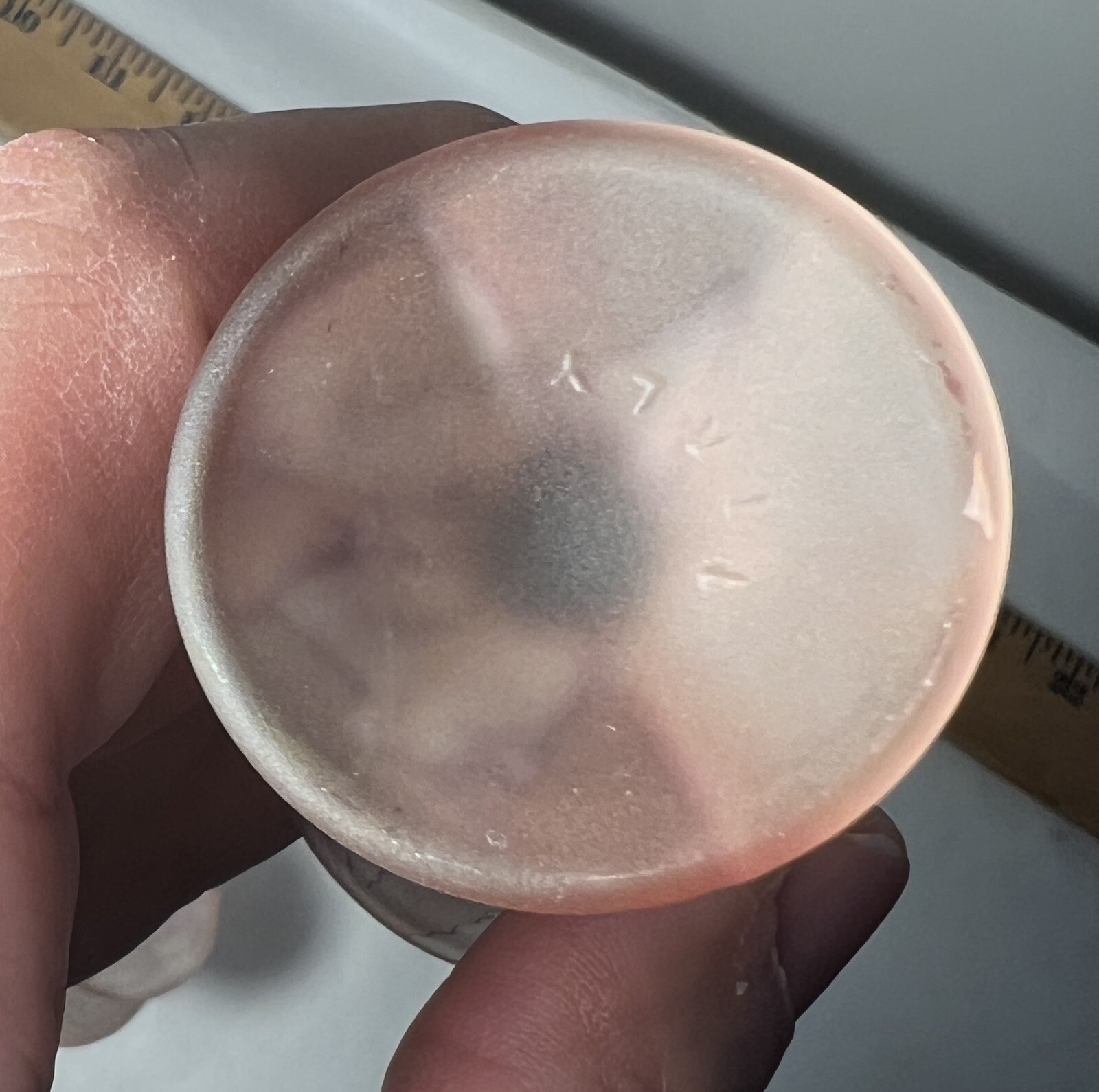 Six (6) Italian Hand Decorated Cordial Glasses - 3" tall - Image 2