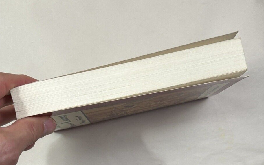 The Day Huey Long Was Shot - David Zinman - (1993 Paperback) -  Pristine, Unread - Image 6