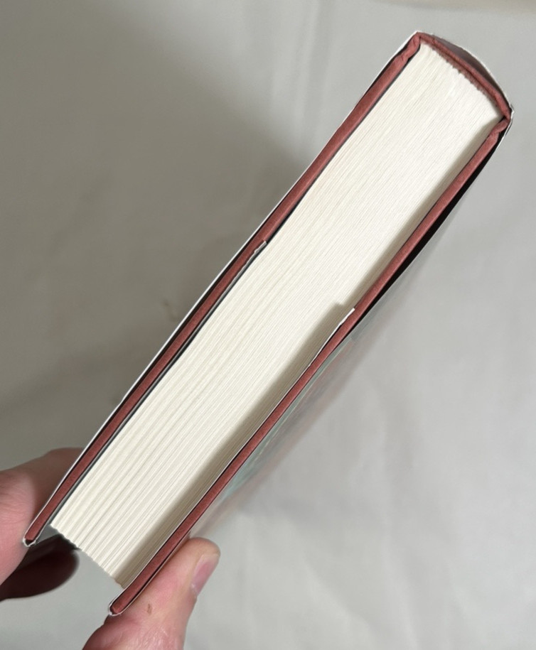 The Dragon of Trelian 2009 HC/DJ 1st Edition - Immaculate New - Michelle Knudsen - Image 4