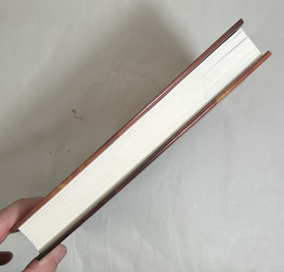 The Dragon of Trelian 2009 HC/DJ 1st Edition - Immaculate New - Michelle Knudsen - Image 5