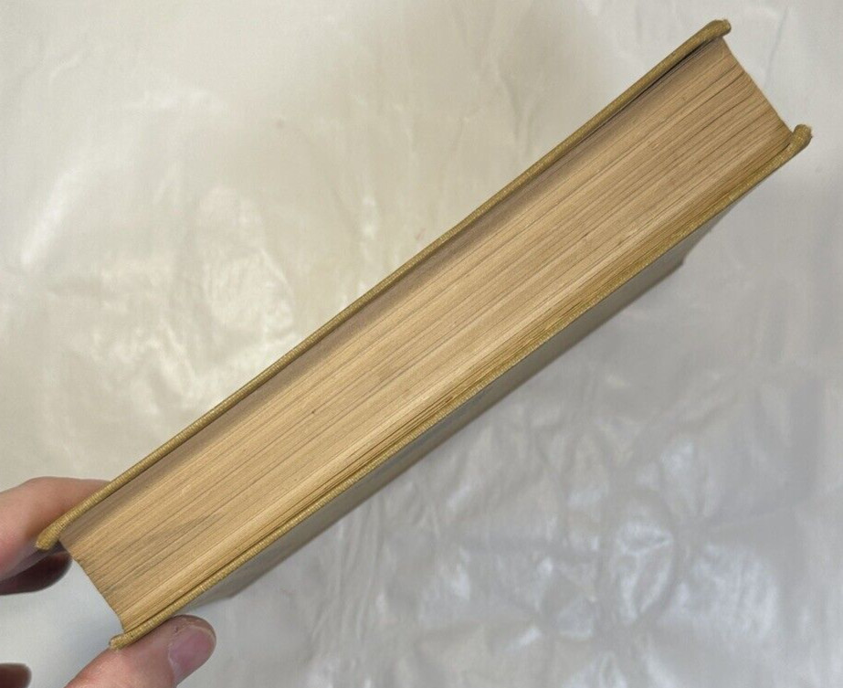 A Diplomat's Wife in Mexico - Edith O'Shaughnessy, 1916 - Image 10