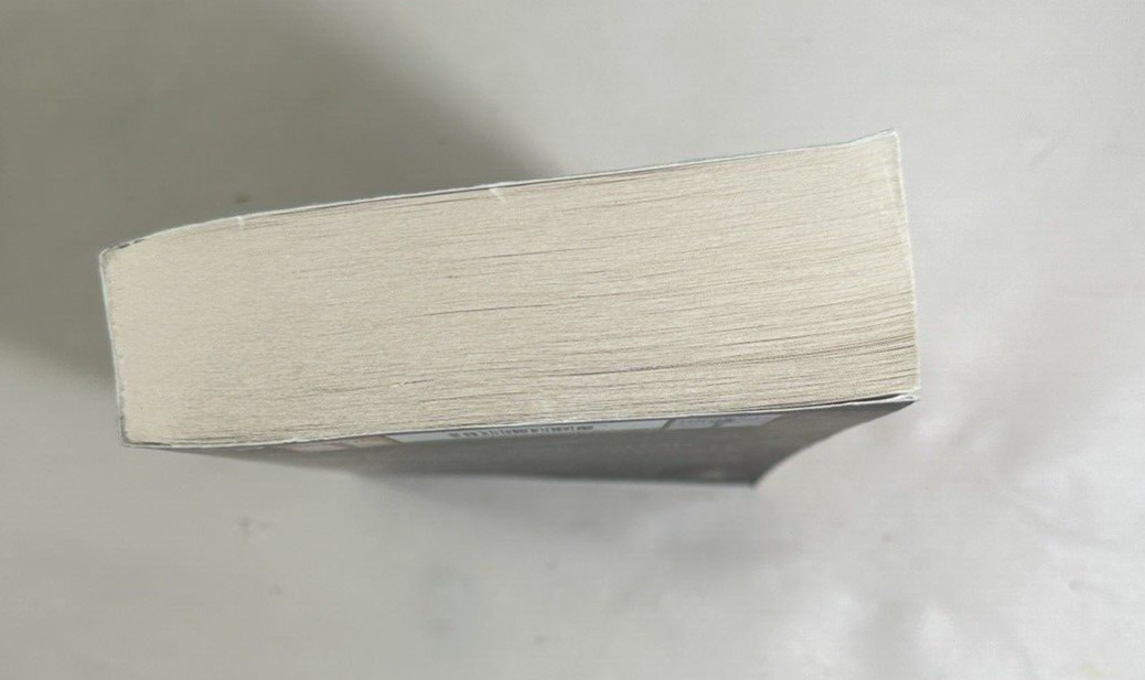 The Dark Defiles (Land Fit for Heroes) by Richard Morgan - Image 3