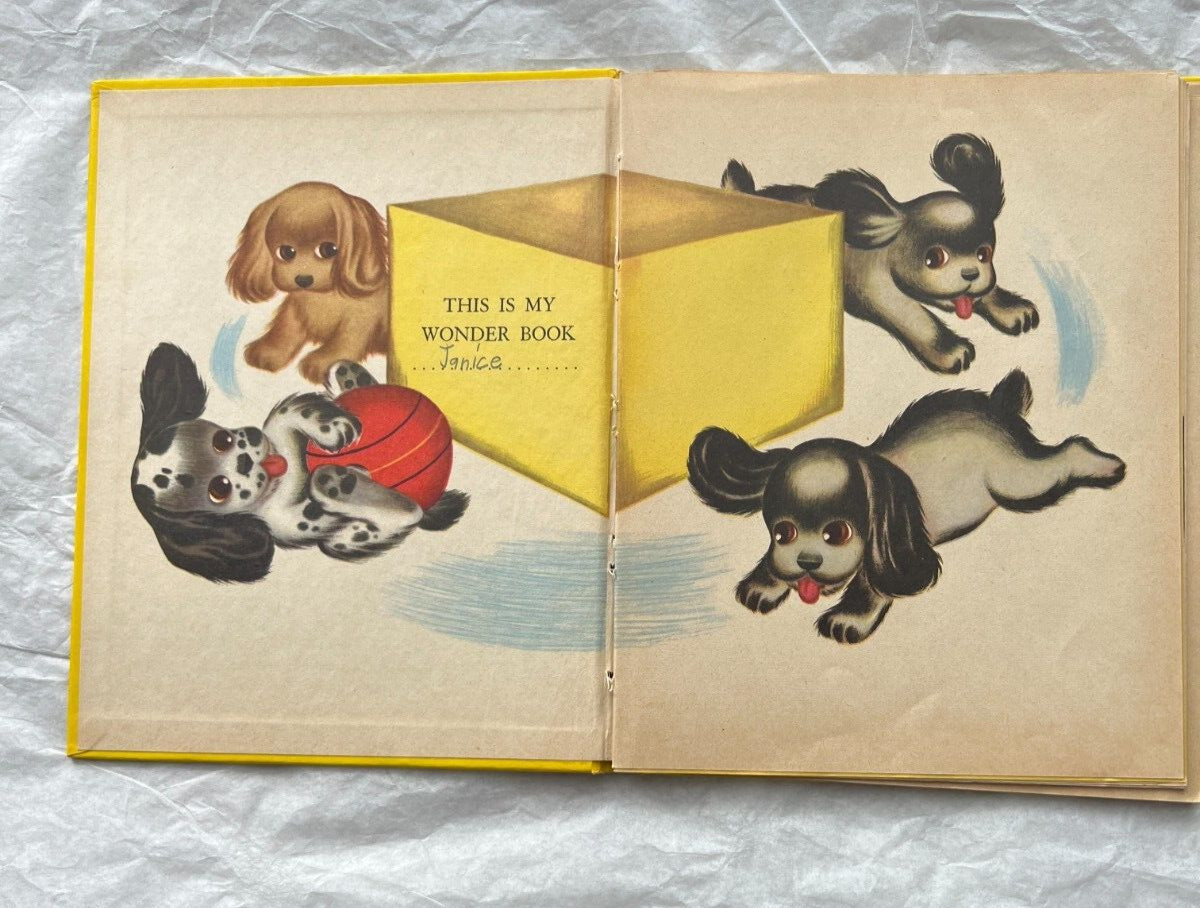 The Four Puppies Who Wanted a Home (1950) Wonder Book - Image 1