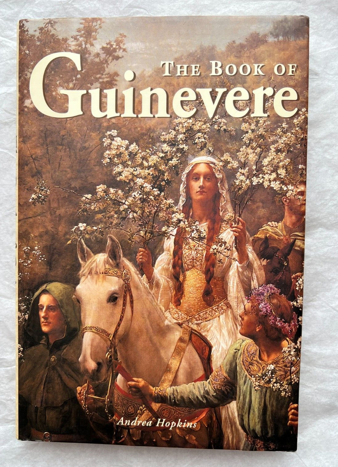 The Book of Guinevere - Andrea Hopkins
