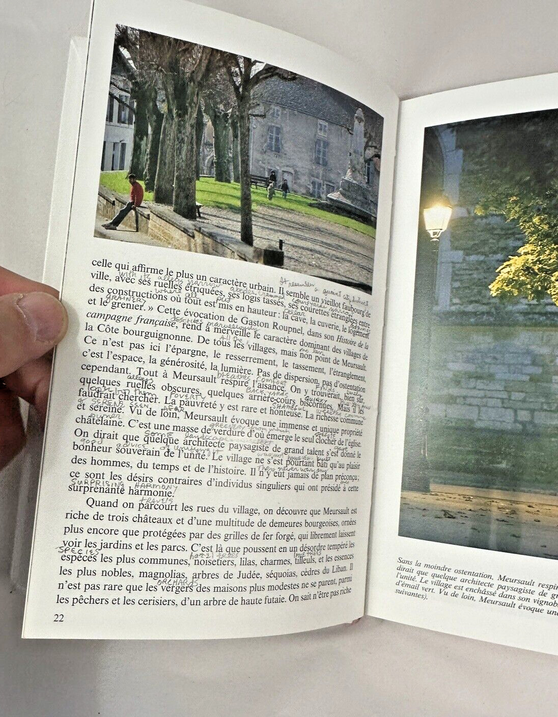 Meursault - Anny Sadrin, Paul Sadrin - Image 4