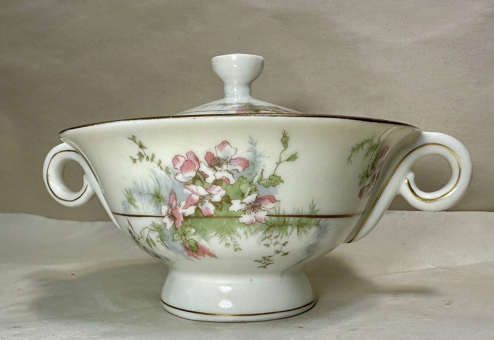 Theodore Haviland Apple Blossom Sugar Bowl and Lid - Immaculate - Image 11