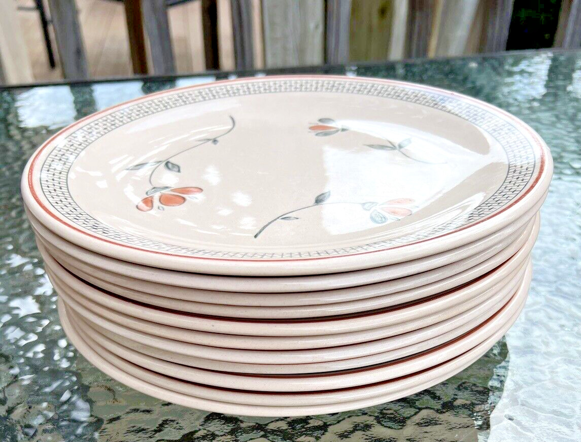 Johnson Brothers Zephyr Old Granite Ironstone 10" Dinner Plate - Immaculate - Image 3