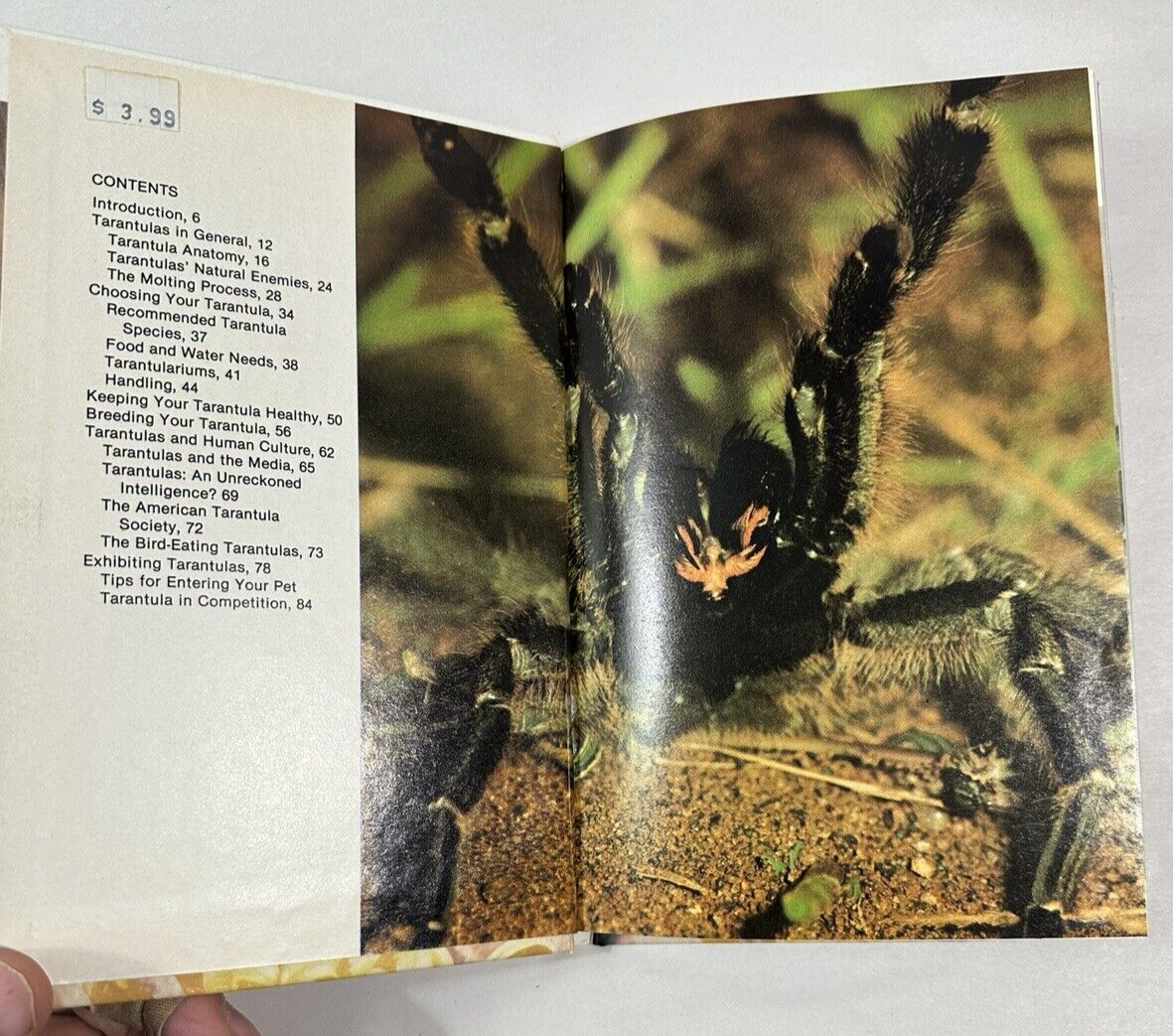 Tarantulas by John Browning (1981, Hardcover) - Image 1