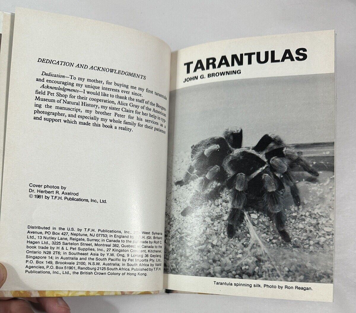 Tarantulas by John Browning (1981, Hardcover) - Image 3