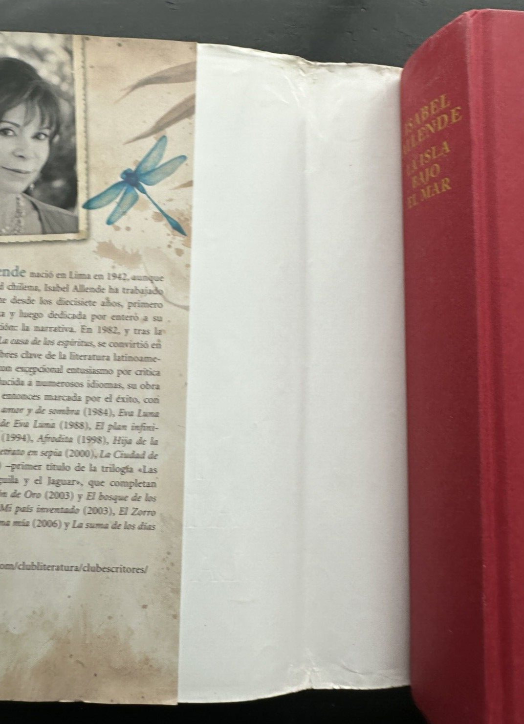 La Isla Bajo El Mar - Isabel Allende - Image 8