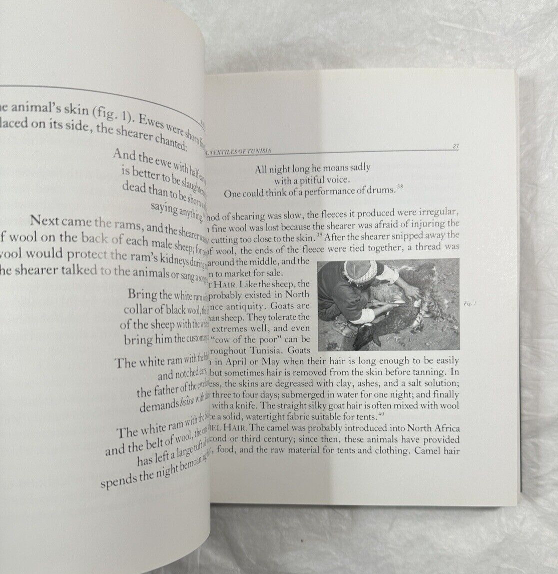 Traditional Textiles of Tunisia - Irmtraud Reswick - Image 4