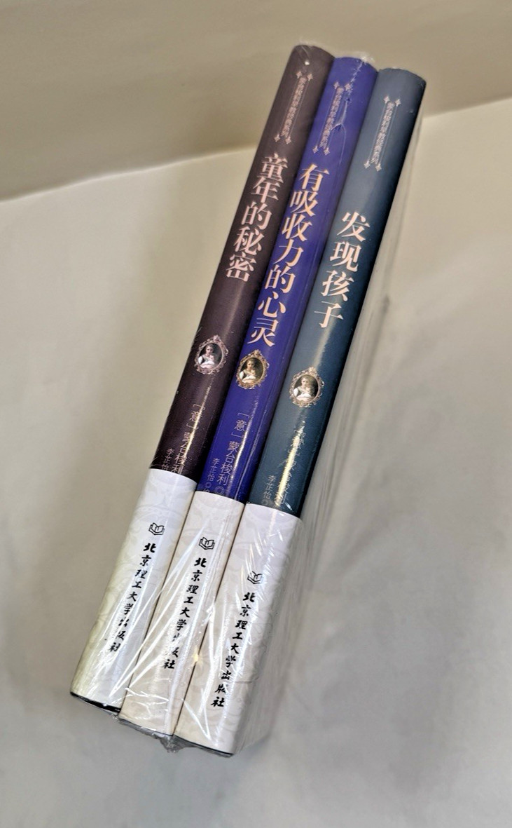 SEALED: The Discovery of the Child - Maria Montessori - Chinese Language Edition - Image 1