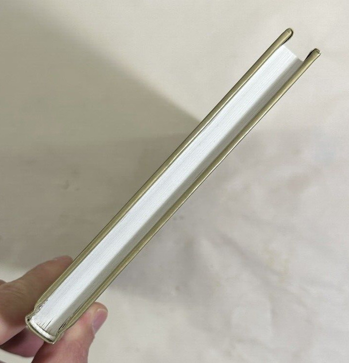 The Pre-Text of Ethics: On Derrida and Levinas - Diane Moira Duncan - Immaculate - Image 4