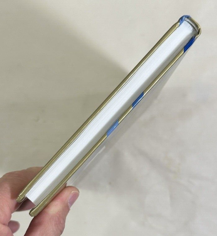 The Pre-Text of Ethics: On Derrida and Levinas - Diane Moira Duncan - Immaculate - Image 6