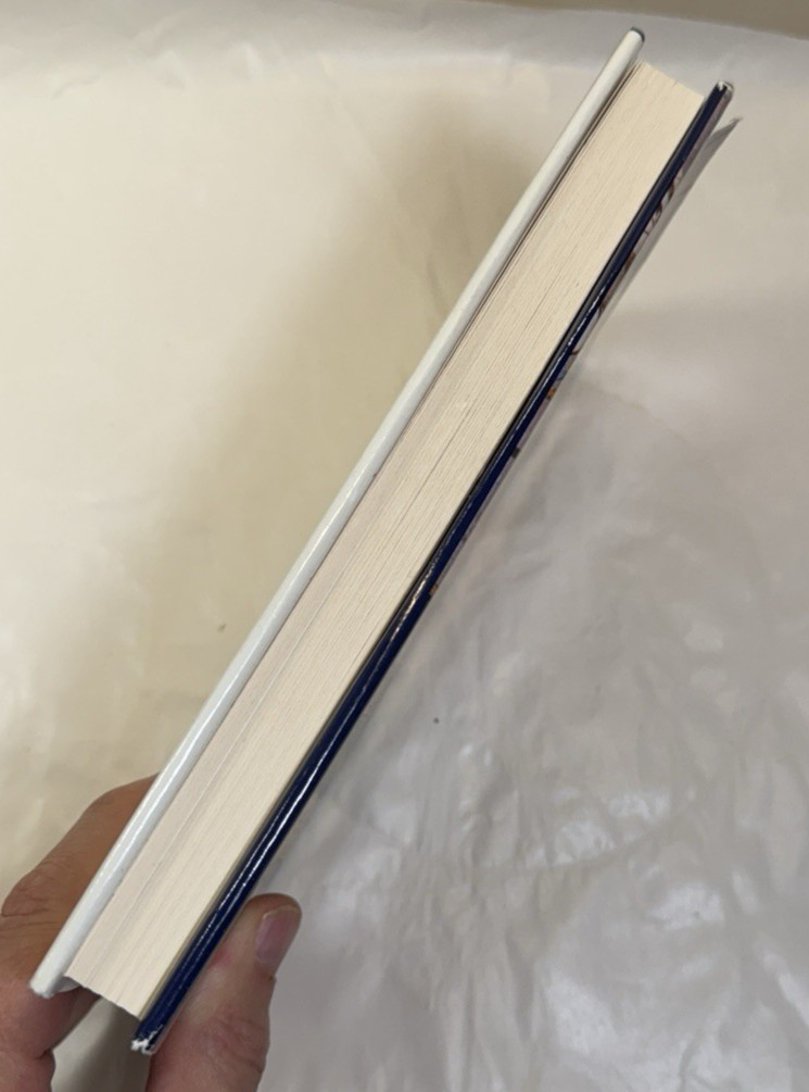 The Devil's Horsemen: The Mongol Invasion of Europe - James Chambers / HC DJ - Image 6