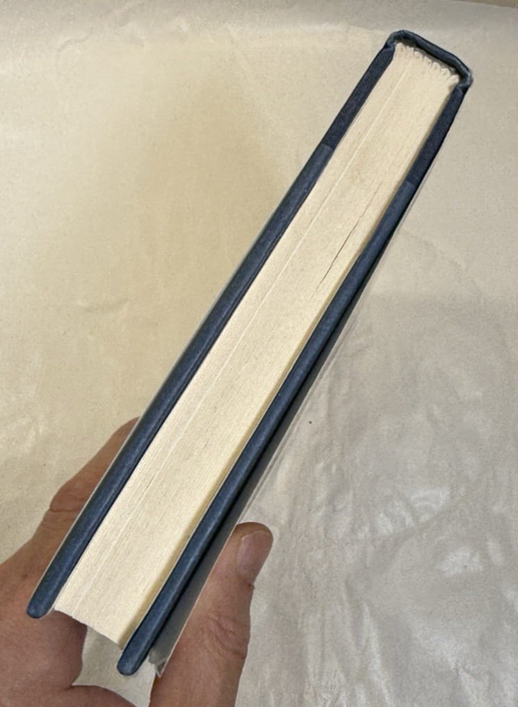 The Devil's Horsemen: The Mongol Invasion of Europe - James Chambers / HC DJ - Image 7