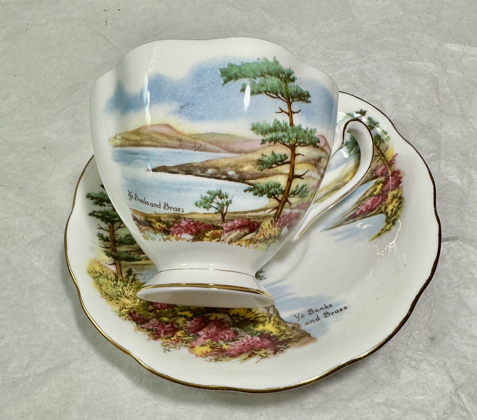 Vtg Famous Poets by Robert Burns Teacup & Saucer Queen Anne Bone China - England - Image 5