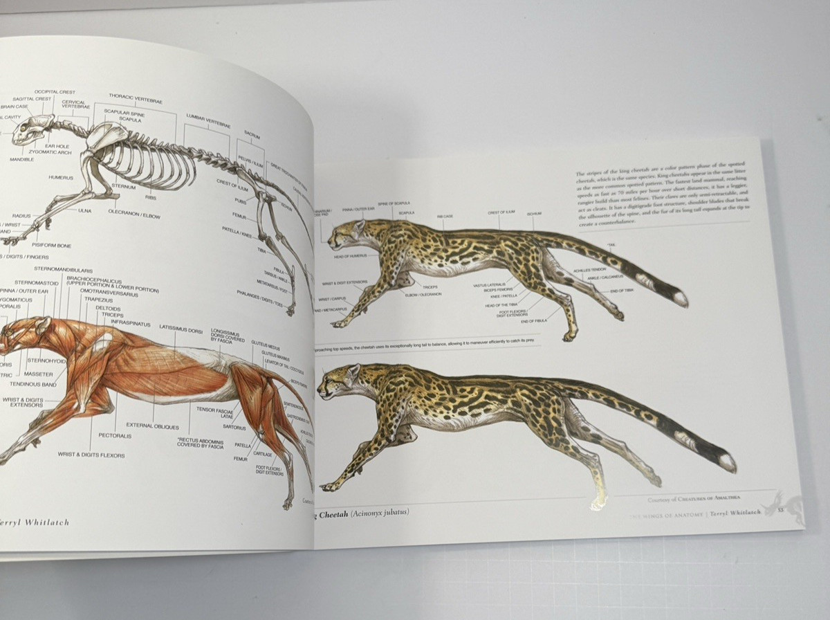 The Science of Creature Design by Terryl Whitlatch - Image 3