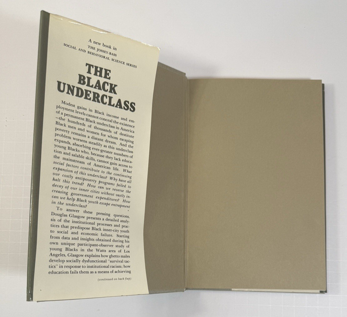 The Black Underclass: Poverty, Unemployment, and Entrapment of Ghetto Youth HCDJ - Image 1