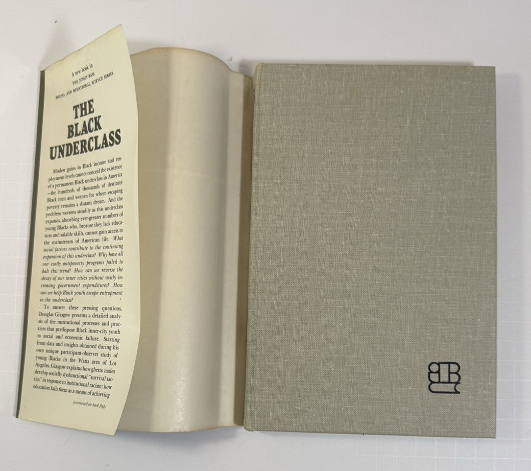 The Black Underclass: Poverty, Unemployment, and Entrapment of Ghetto Youth HCDJ - Image 2