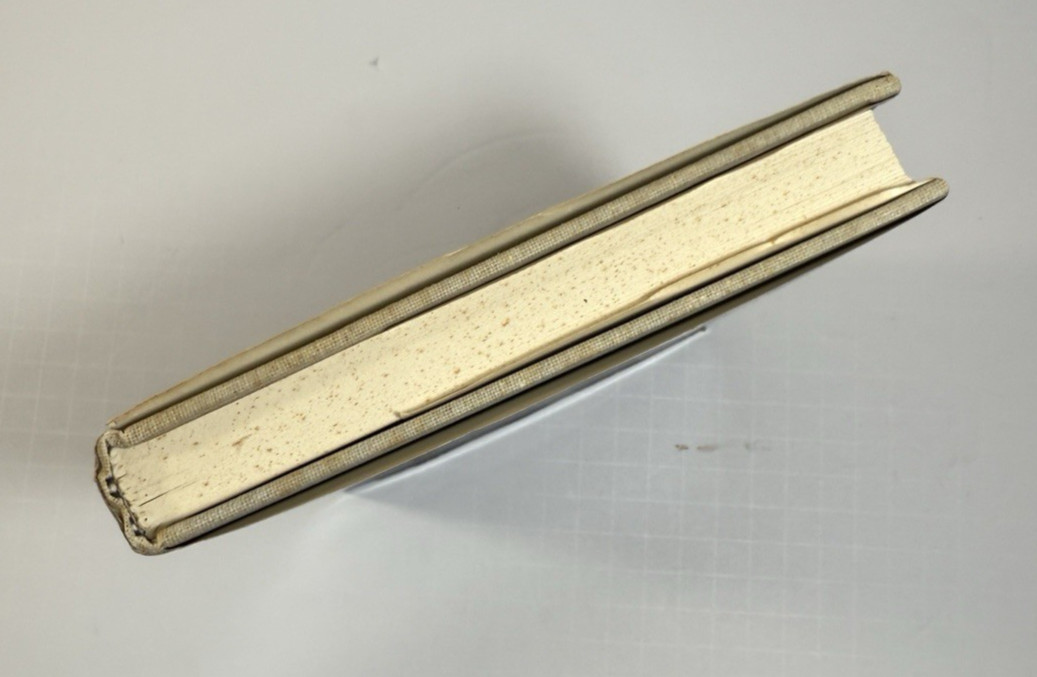 The Black Underclass: Poverty, Unemployment, and Entrapment of Ghetto Youth HCDJ - Image 4